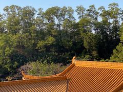 -深圳仙湖植物园