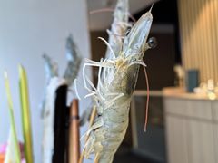 -享月汤皇(高新路店)