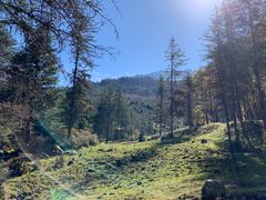 -硗碛藏寨·神木垒景区