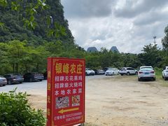 -银峰农庄·特色烧鸡·鲜无花果浸鸡