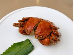 江南醉六月黄蟹-苏小柳点心·手作小笼包(浦东嘉里城分院)