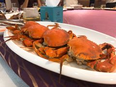 -欢乐海岸美食联盟