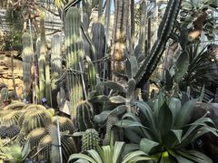 -国家植物园南园