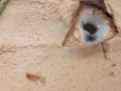 -椰夫人·养生椰子鸡(黄埔时代城店)