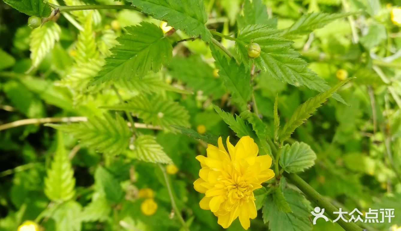 轻装上阵，去野外，去水边