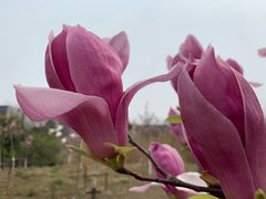 -江南大学(蠡湖校区)
