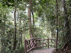 -海南热带雨林国家公园吊罗山景区