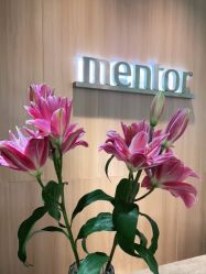 -Mentor Hair Salon