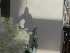 -三仟津花园咖啡馆