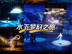 -重庆国际马戏城