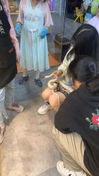 -神奇动物撸宠馆·羊驼·小浣熊·异宠(豫园店)
