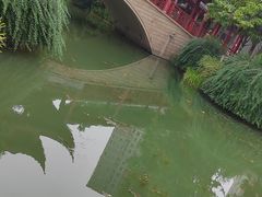 -龙潭水乡