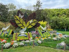 -上海共青森林公园