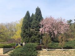 -海棠花溪(元大都城垣遗址公园)