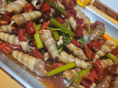 麻辣锥螺-喝丢一只鞋海鲜烧烤·海肠捞饭(文体街店)