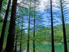 -四明山国家森林公园