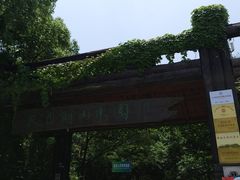 -天目湖山水园