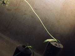 -元白和创园展厅