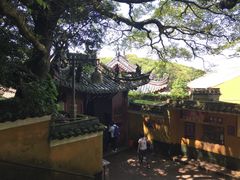 -普陀山风景区-佛顶山