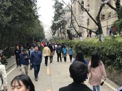 -武汉大学-樱园