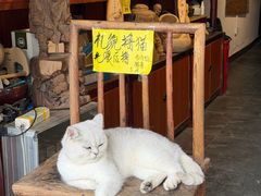 -羊楼洞