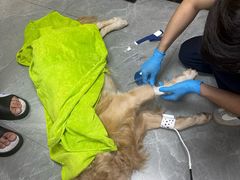 -爱诺耐芙动物医院(万博店)