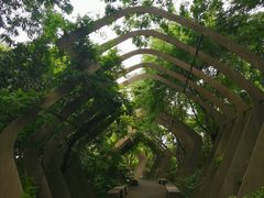 -长广溪湿地公园