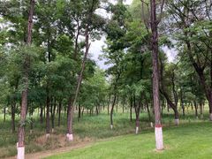 -潇河湿地公园