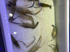 -澜悦港海鲜体验主题餐厅