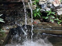 -潮隐·东园现代潮菜