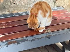 -狼山风景名胜区