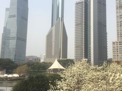 -陆家嘴中心绿地