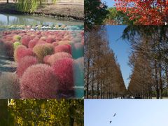 -嘉北郊野公园