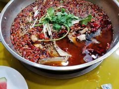 -渔香岛美蛙鱼头火锅(威清路店)