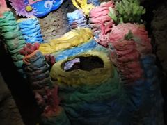 -南昌海洋公园