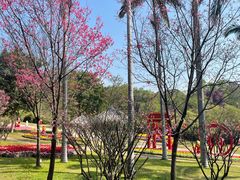 -广州莲花山旅游区