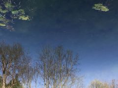 -红跑车HPCBAKERY(汉商店)