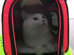 -凯特喵百思猫专科医院