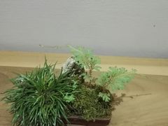 -徐汇艺术馆