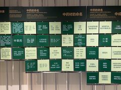 -广东中医药博物馆