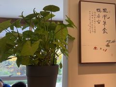 -墨宴(西洋湖店)