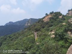 -大岭沟猕猴桃谷风景区
