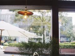 -肥朵食堂(带梦胡同店)