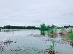 -野鸭湖国家湿地公园