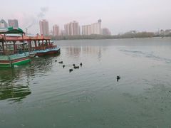 -莲花池公园