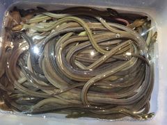 -乐兴海鲜餐厅