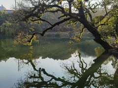 -台州府城(东湖)