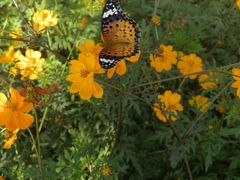 -宁波五龙潭景区
