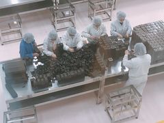 -歌斐颂巧克力小镇