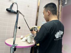 -FAELING PETS美天灵宠物(富力广场店)